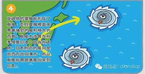 南半球颱風順時針|你知道颱風怎麼形成的嗎！？